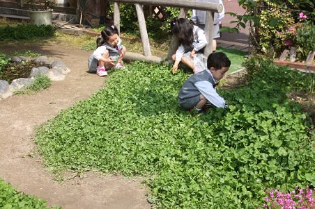 Img_0823 Img_0823