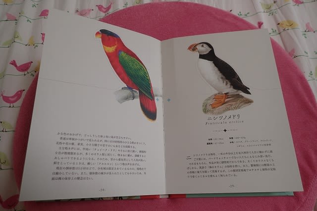 鳥さんの本 のブログ記事一覧 鳥バカ日記
