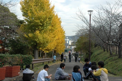 城山公園の紅葉 館山市 日々あれこれ