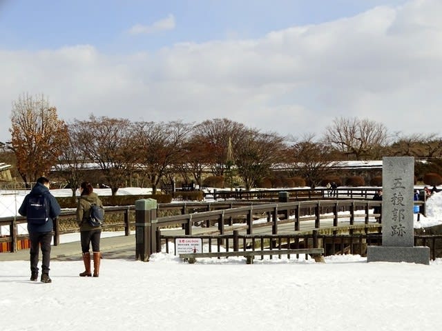 この冬の函館は雪も平年並みでウィンター観光のご案内出来ています 道南ハイヤーです この冬の函館は雪も平年並みでウィンター観光のご案内出来ています 道南ハイヤーです