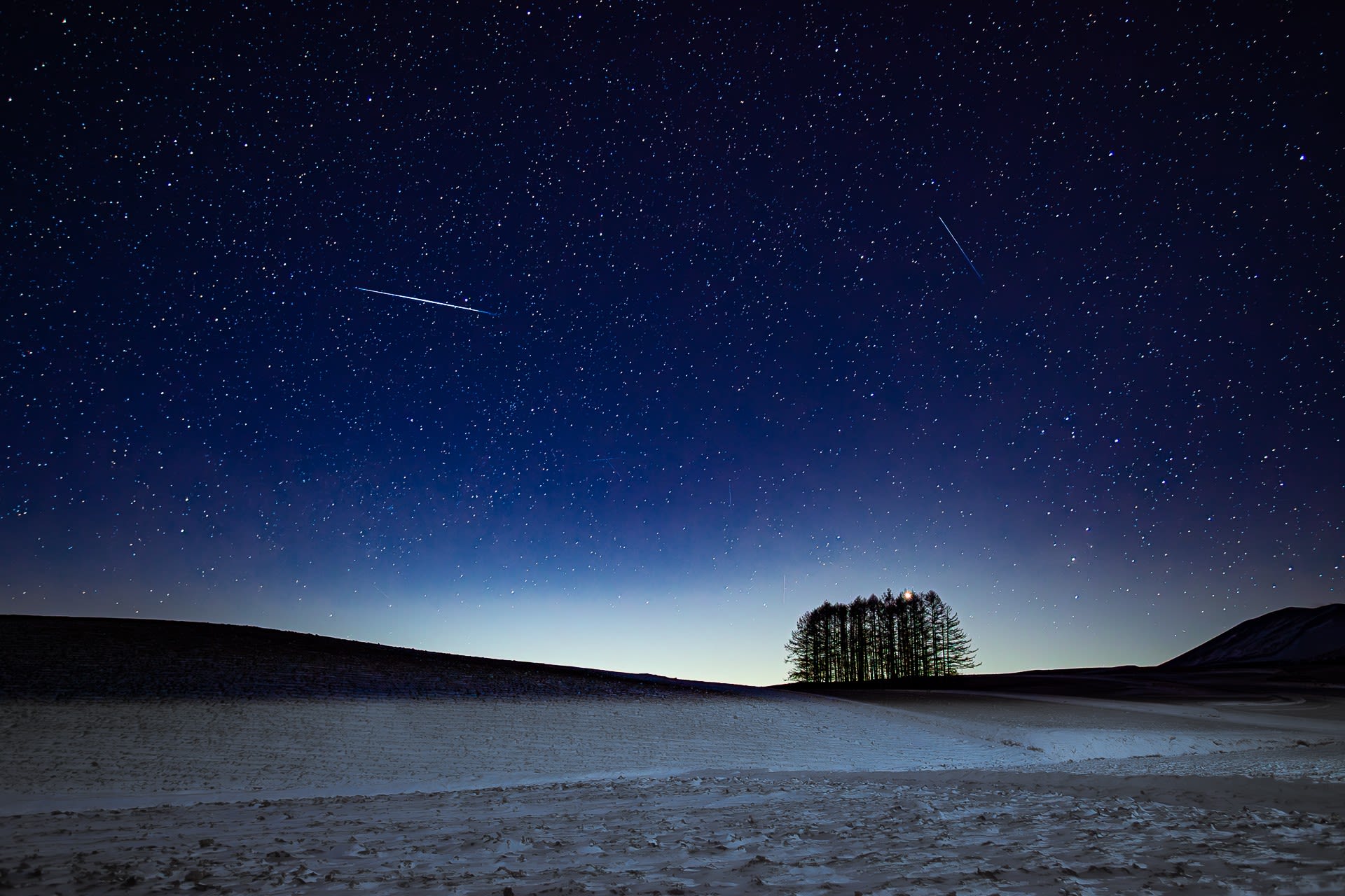 カラマツの丘と冬の星空の写真(金星と流星)