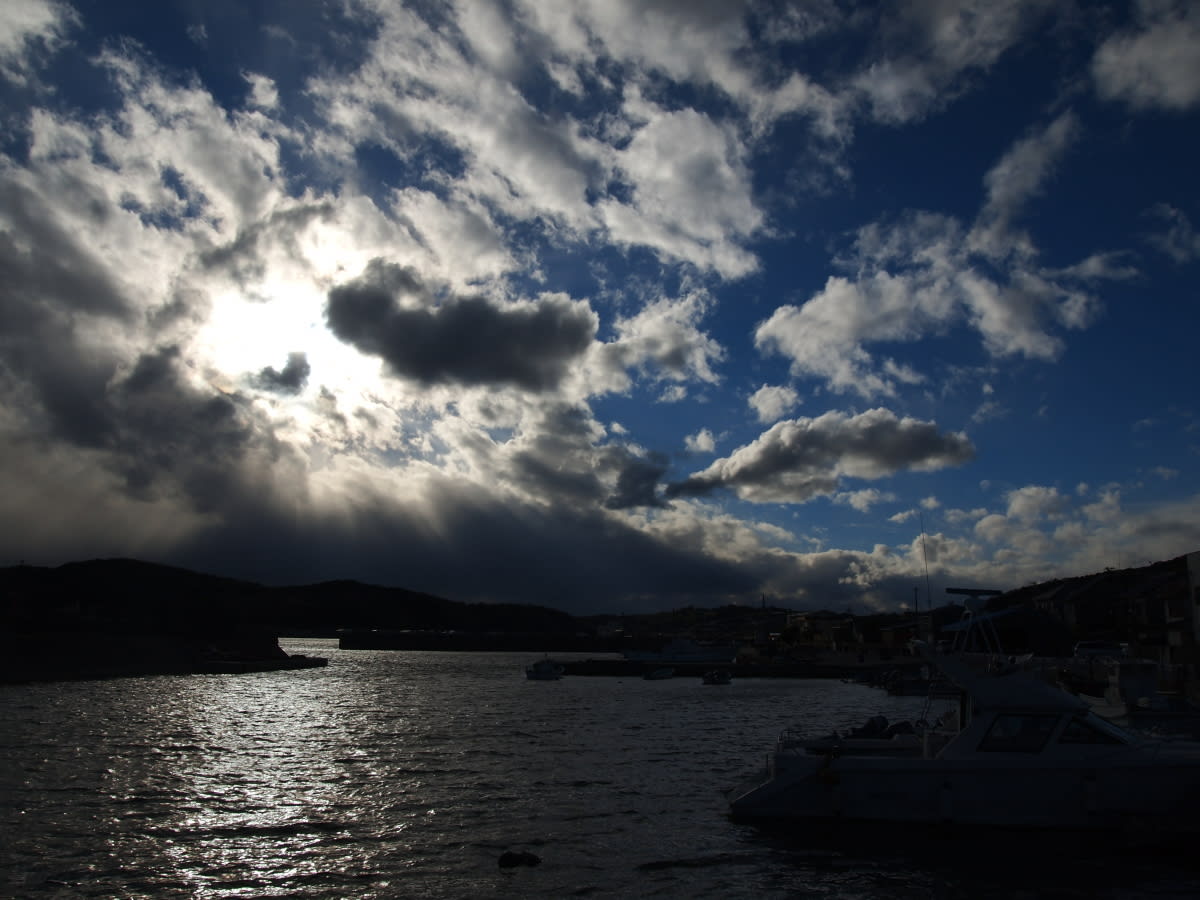 最近の海辺の風景からの画像