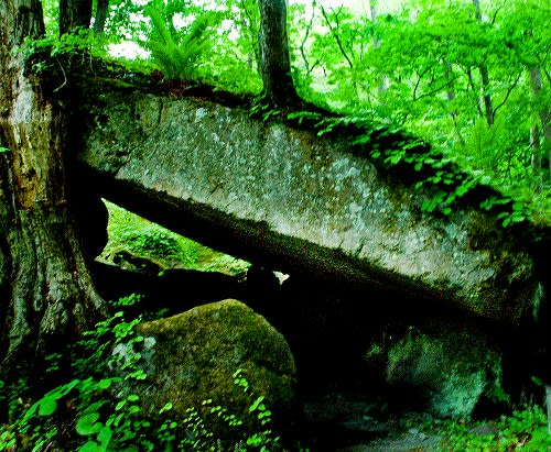 奥入瀬渓流 石ヶ戸 ｋｏｍ ｓ 気まぐれフォト散歩