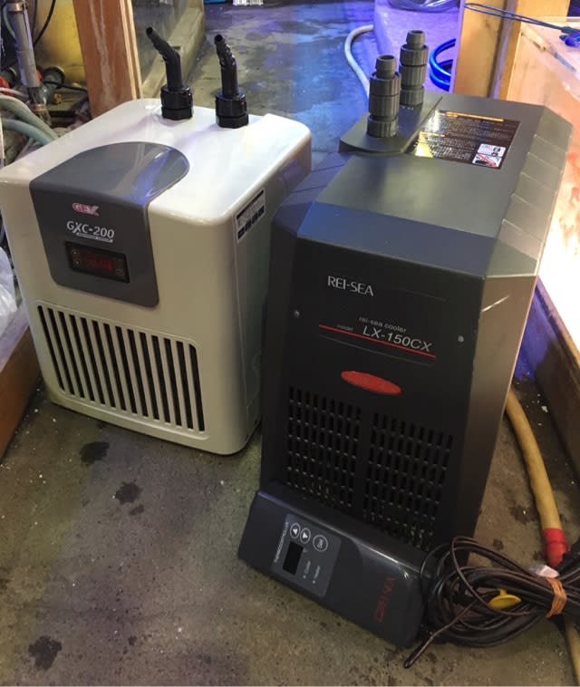 レイシー クーラーLX-150CX サーモコントローラ付き