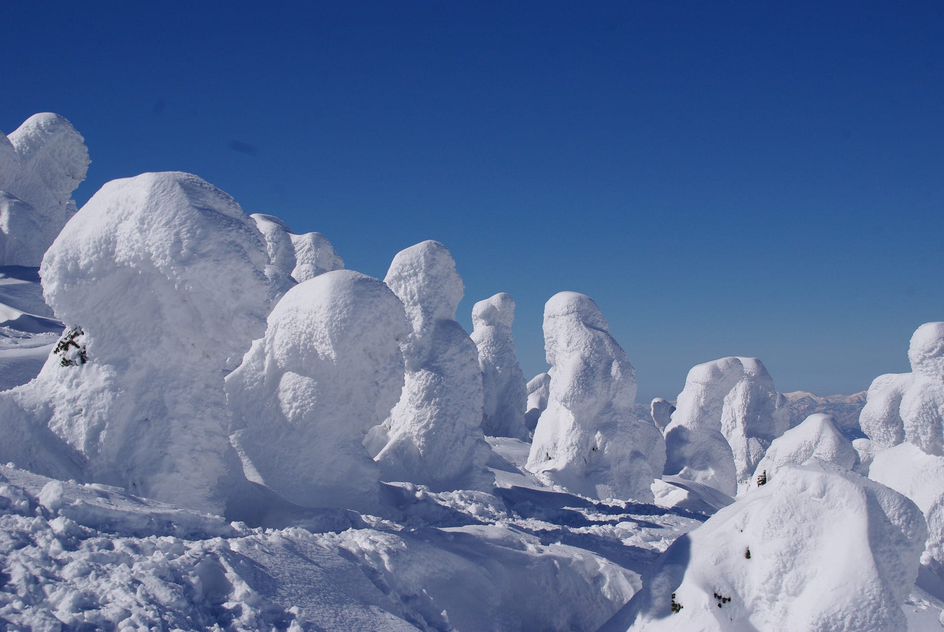 山形蔵王の樹氷 greetings from japan 山形蔵王の樹氷 greetings from japan