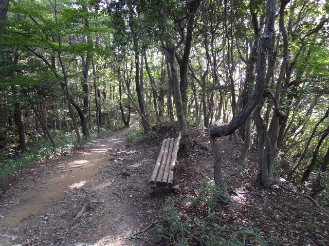 森のベンチ