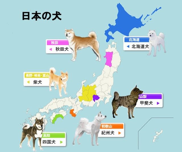 日本犬六犬種の特徴 について考える 団塊オヤジの短編小説goo