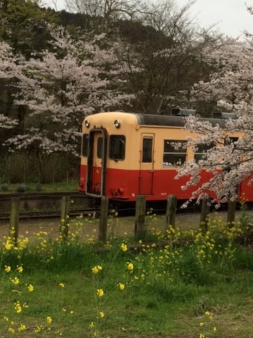 20150404_月崎駅_8.JPG