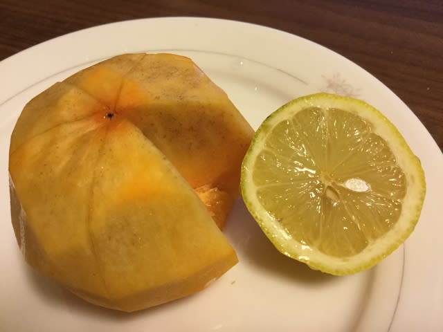 柿にレモンを絞る せめて健康だけは 独身51歳腐女子の記録と遺言