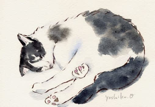 可愛い猫の絵を描いてみよう 小栗栖好子 水彩画 イラスト