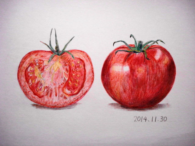 色鉛筆画４１ トマト 一期一会の想いを込めて