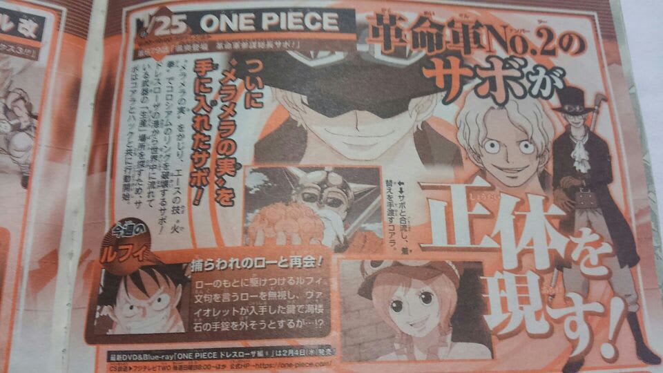 One Piece 第679話 颯爽登場 革命軍参謀総長サボ 蝶の迷宮 再装填奇譚