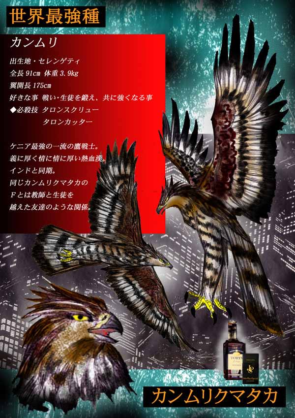 世界最強種 カンムリクマタカ 鷹戦士学園 Japanese Manga 当ブログはリンクフリーの格闘漫画です
