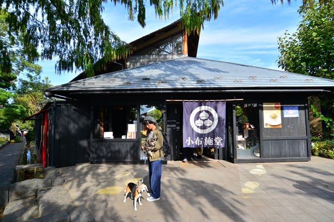 犬と旅行 岐阜 長野 白馬 のブログ記事一覧 Crea Cafe