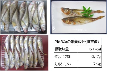 1264 ハタハタの一夜干し 男の料理指南