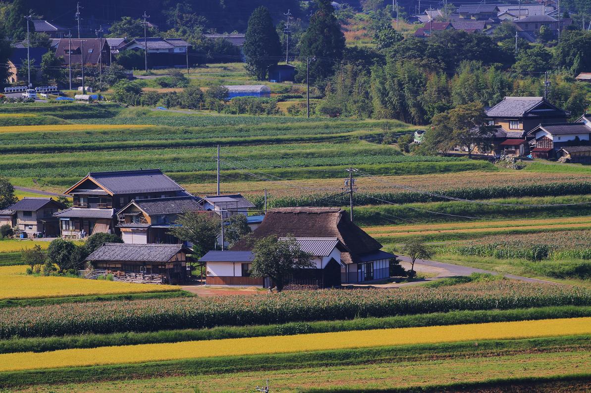 仲間に助けられての撮影会の画像