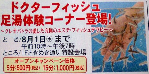 ドクターフィッシュってピラニアみたい 毎日更新 日刊 安頓写真ブログ