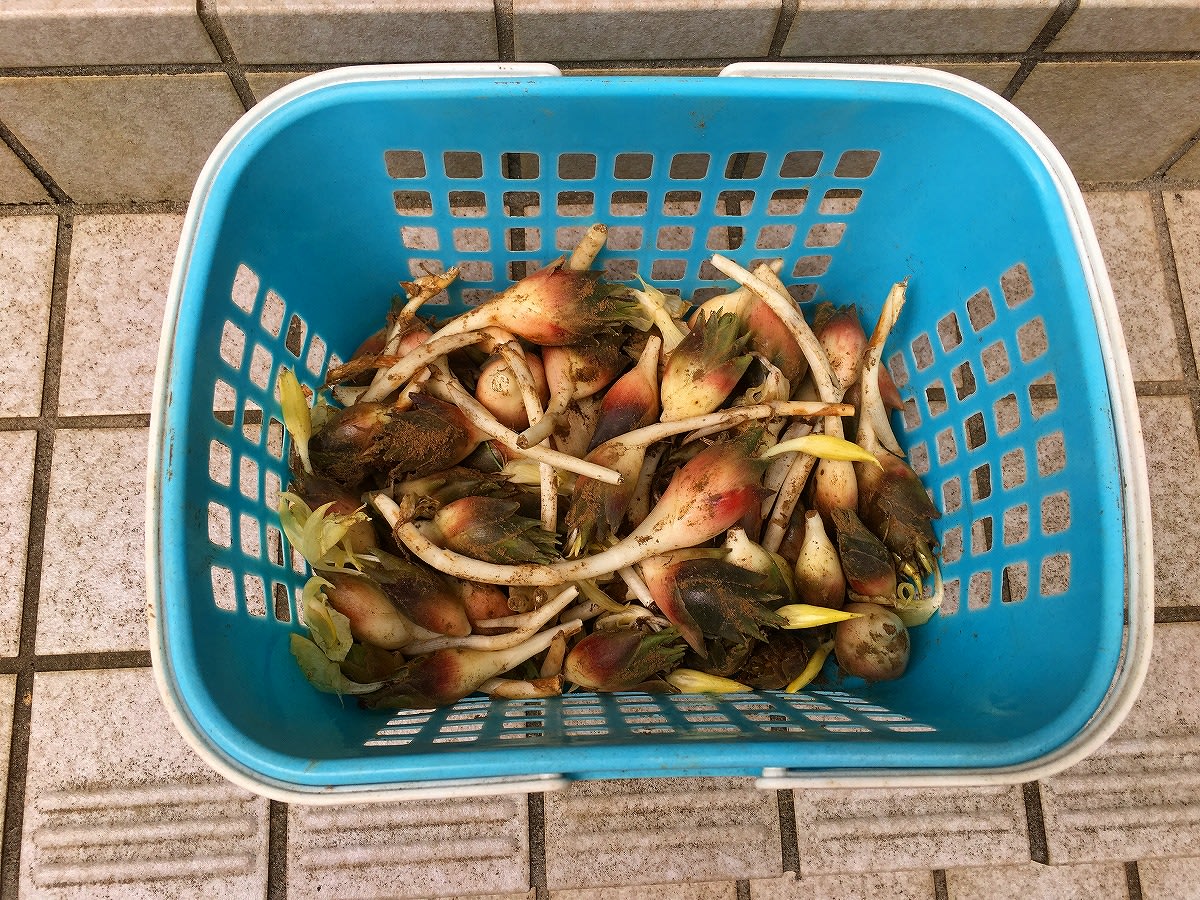 クリックで大きくなります。