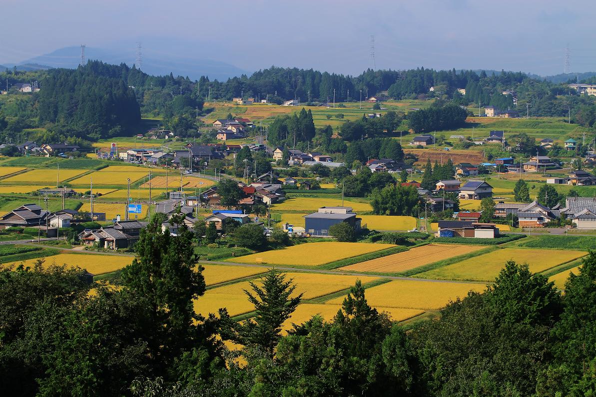 仲間に助けられての撮影会の画像