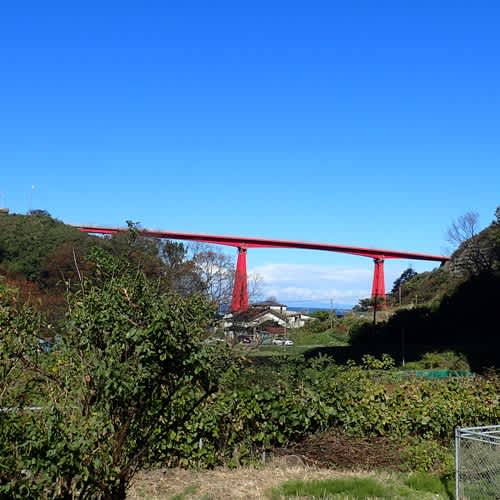 米山大橋とルコウソウ Wood Stove Life 米山大橋とルコウソウ Wood Stove Life