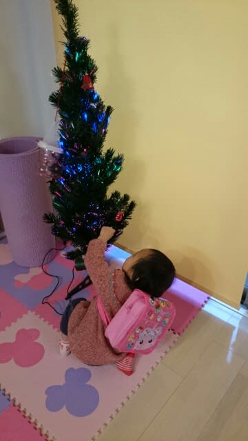 クリスマスツリー ぐずりんこの成長日記 クリスマスツリー ぐずりんこの成長日記