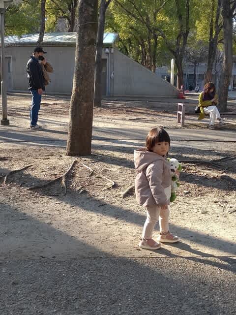 芸術家に休日はないーある日ウォーキングの時間をとって The Diary of Ka21042