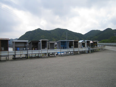 気になる気になる