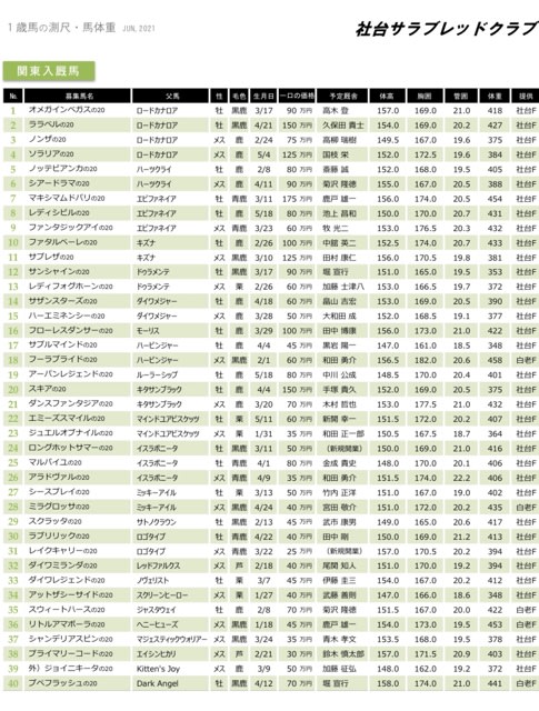 募集2021-1】社台/サンデー/G1募集馬測尺 - FLY to the world 募集2021-1】社台/サンデー/G1募集馬測尺 - FLY to the world