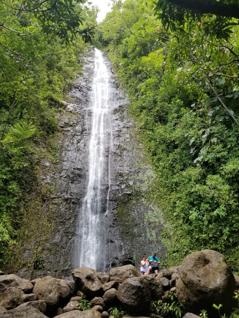 ハワイ マノア の 滝