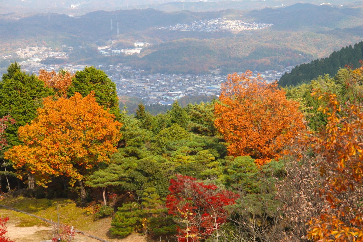 岐阜県多治見市 かさはら潮見の森 の秋 自然を求めて近辺ぶらり