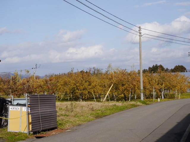 P1110879a