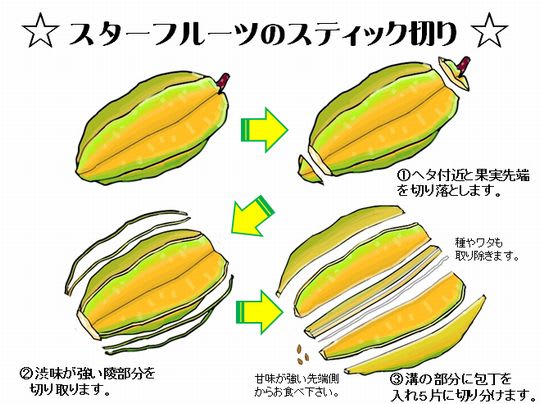 スターフルーツ のブログ記事一覧 熱帯果樹写真館ブログ