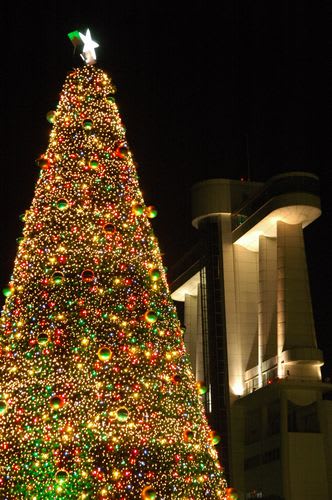 ilum0016.jpg: クリスマスツリーと名古屋港ポートビル