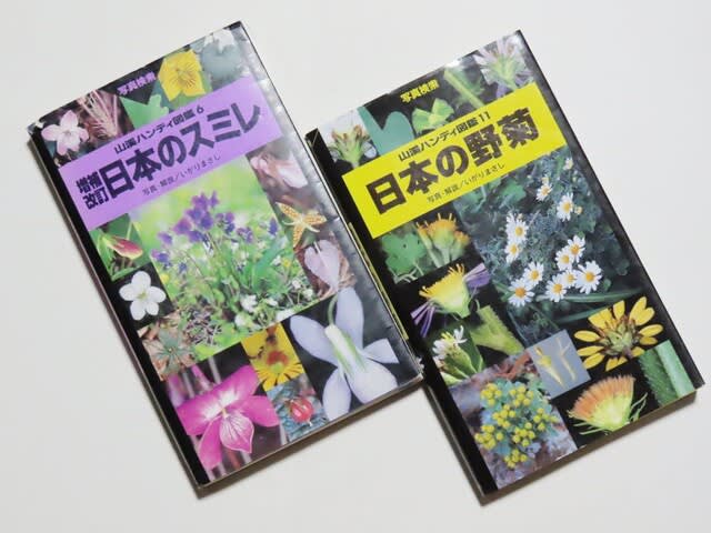 いがり先生の「日本のスミレ」、「日本の野菊」