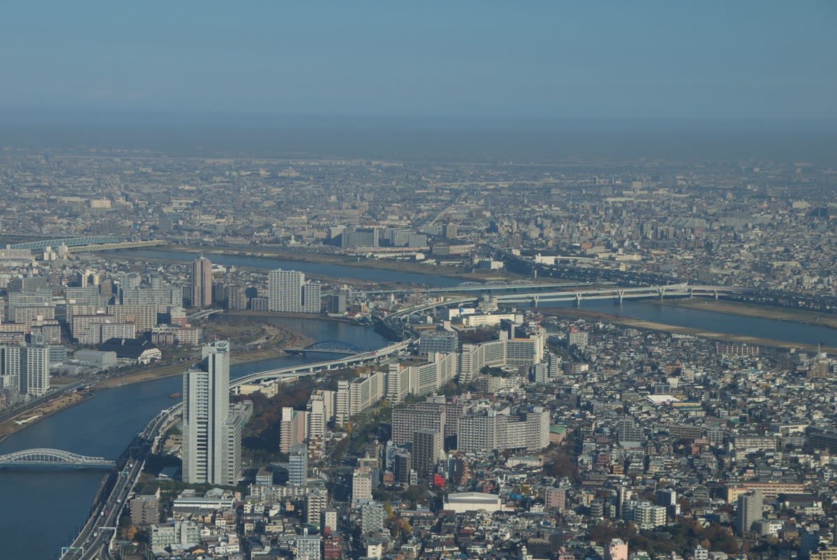 １２月の東京スカイツリー フロア３５０から北 東方向 北千住駅 新小岩駅方向 緑には 東京しかない