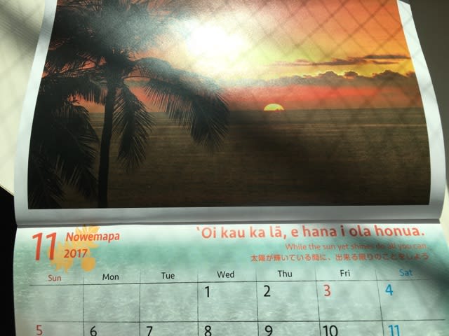 11月のハワイのことわざカレンダー Kaolu S Diary Leo Nahenahe