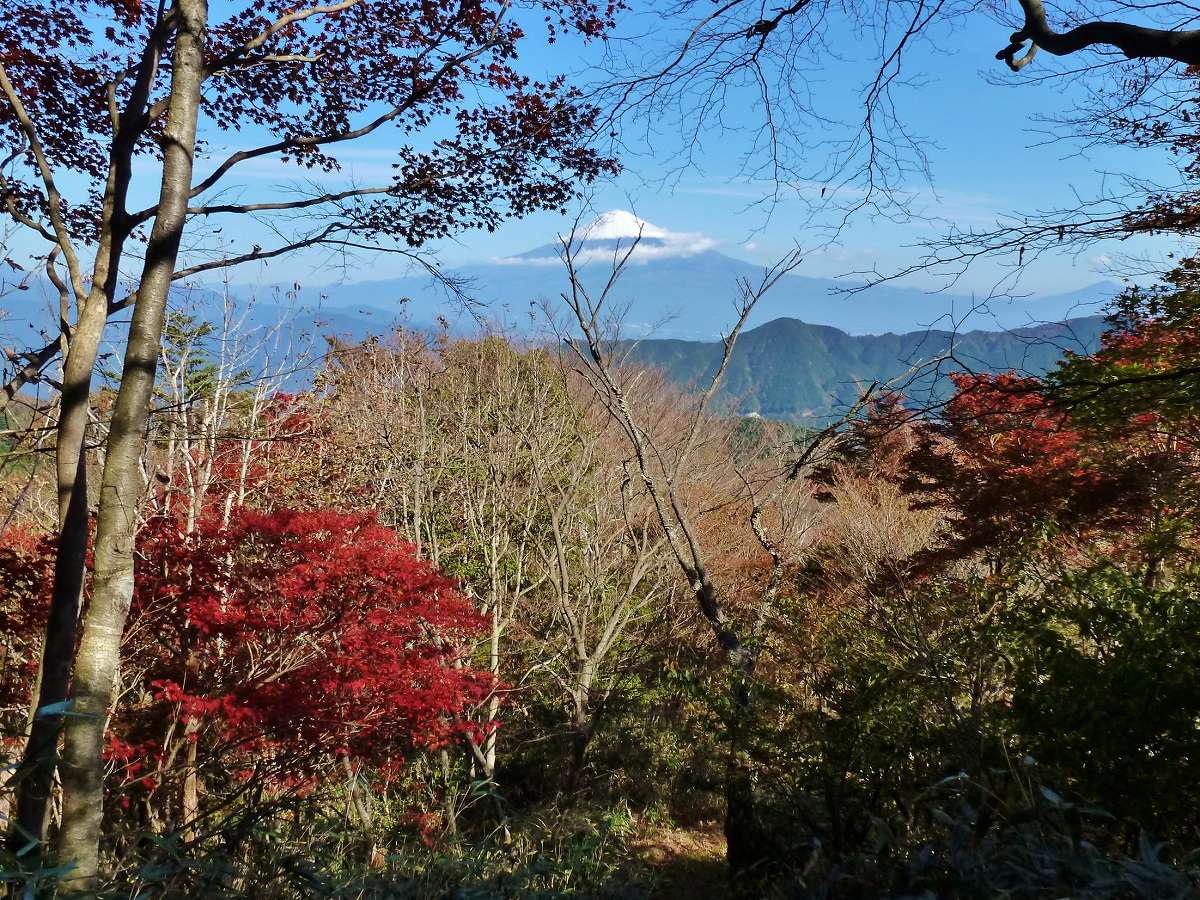 富士山を見に平治ノ段（940ｍ）への画像