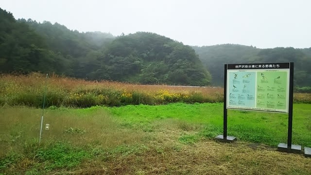 谷戸沢廃棄物広域処分場