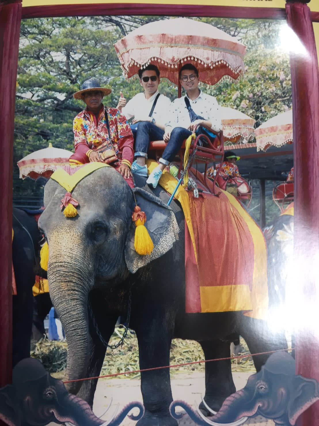 タイで象に乗る