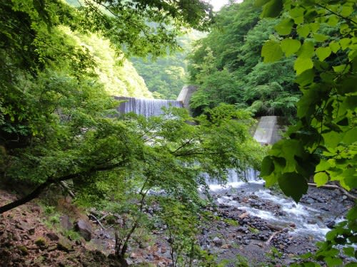 ★送料無料★川釣り 釣り竿 鮎 天竜 渓流 川