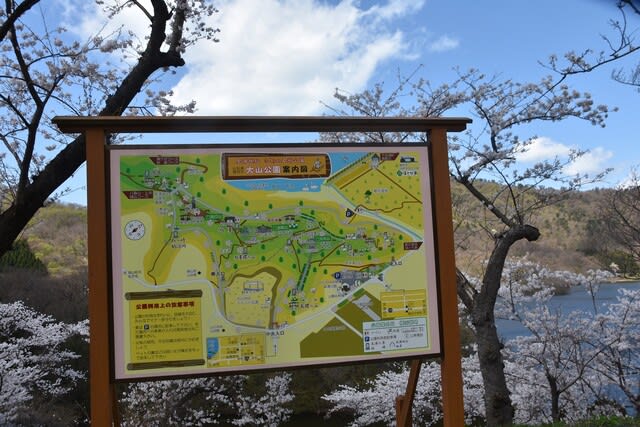 大山公園と鶴岡市内の桜 ダイワコーポレイション株式会社 リサイクルショップ ハローズ 家具のダイワ 社長のひとりごと