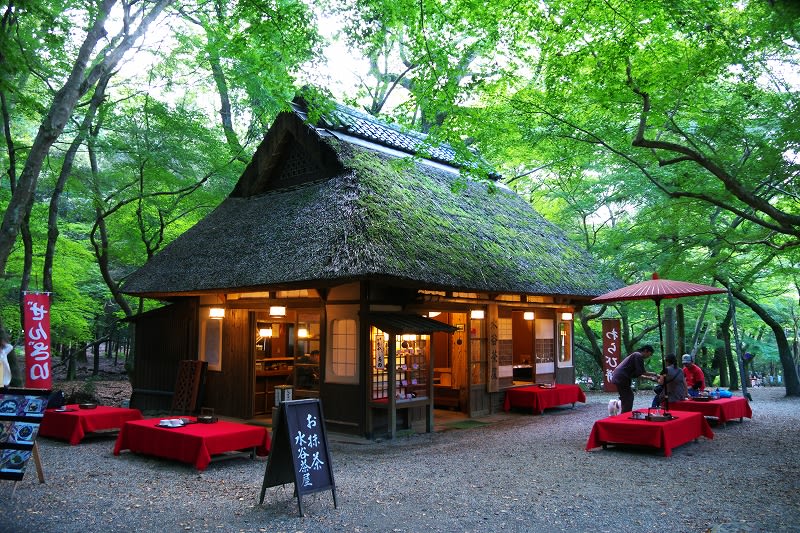 奈良公園 若草山と水谷茶屋 気まぐれ 花 旅日記