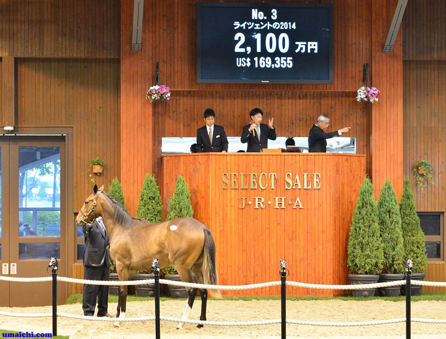 Jra競走に勝ったセール出身馬紹介 17 10 14 15 ディアドラが秋華賞制覇 サラブレッドセール せり市場 馬市 種牡馬 の最新情報 By馬市 Com