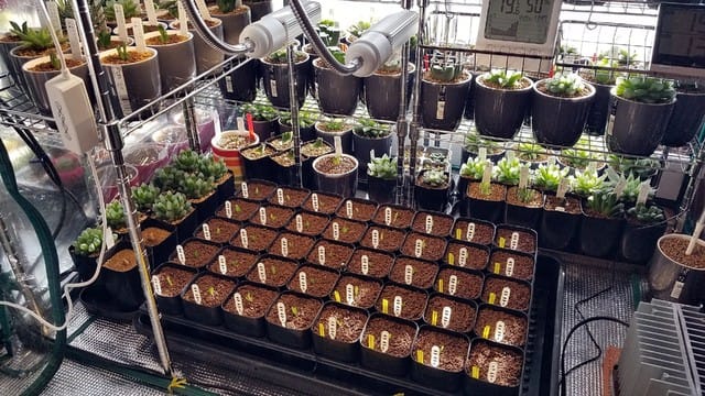 植物育成ライトを設置 - @DUKAのヴェブログ ver.2.5