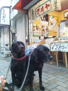 花屋さんと、餅菓子屋さんで…