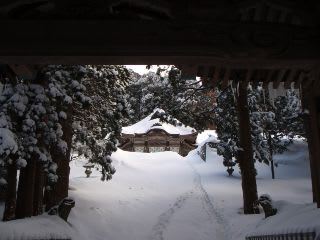 大神山神社。あと一息。雪が多すぎて近くに言っても写真を撮るような場所が…。