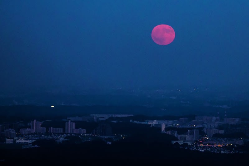 満月の夜は赤い月でした By空倶楽部 Morinoki 11