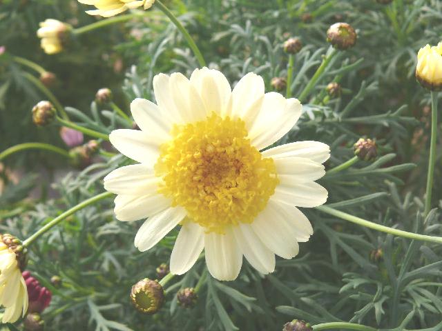 P1520671