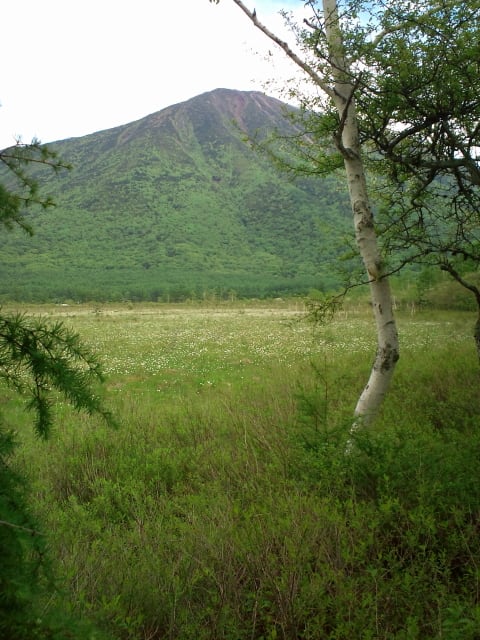 F1000045_2 F1000045_2