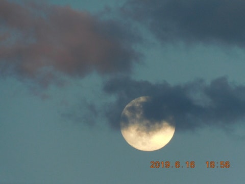 今夜は月に木星が寄り添う綺麗な星空で す Felizmundo S Website